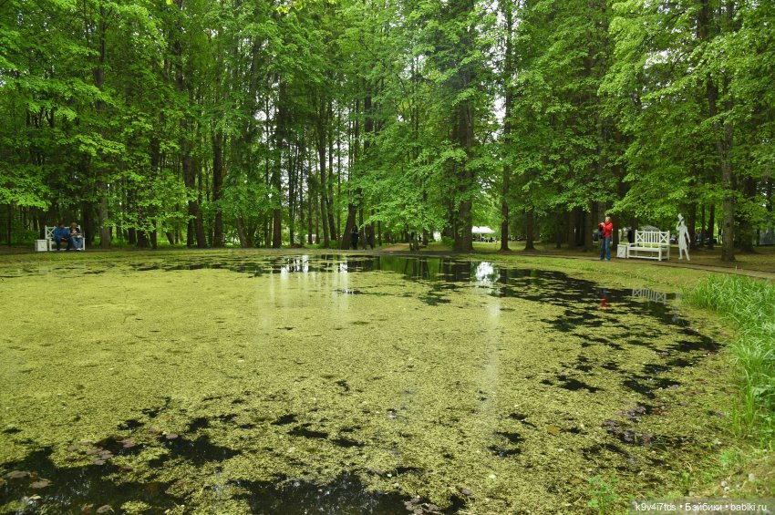 "Наш Пушкин". Пушкинский праздник в Берново, 2023 год