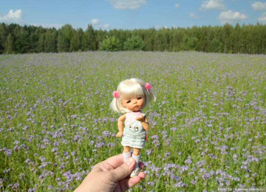 Сиреневое поле | Бэйбики Сиреневое поле — Куклы Meadow dolls (Медовушки): BJD (БЖД) (фото 10)
