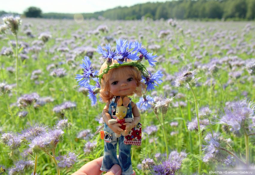 Сиреневое поле | Бэйбики Сиреневое поле — Куклы Meadow dolls (Медовушки): BJD (БЖД)