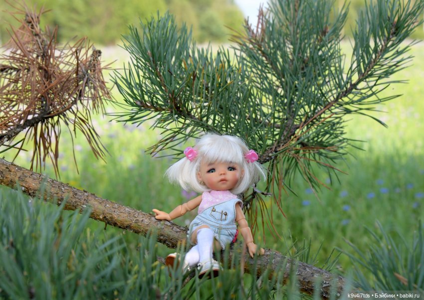 Сиреневое поле | Бэйбики Сиреневое поле — Куклы Meadow dolls (Медовушки): BJD (БЖД)