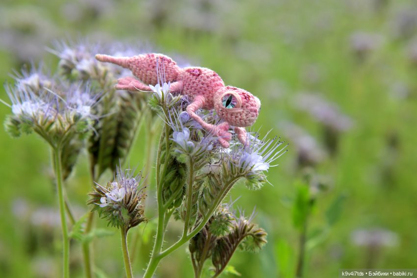 Иманины сказки. Волшебный луч (фото 9)