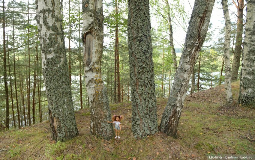Иманины сказки. Волшебный луч