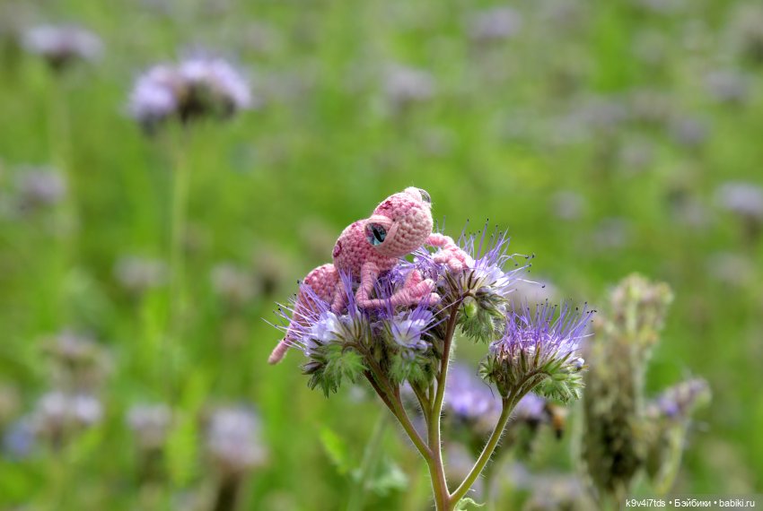 Иманины сказки. Волшебный луч (фото 8)