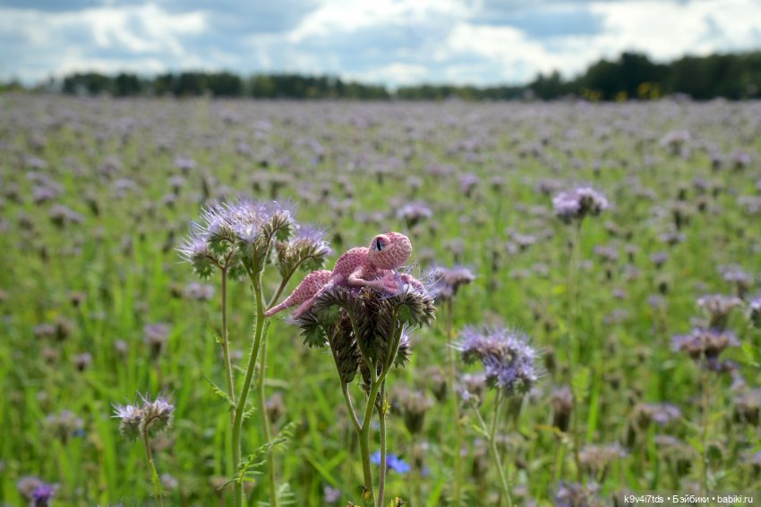 Иманины сказки. Волшебный луч (фото 10)