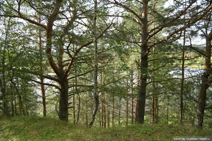 Иманины сказки. Волшебный луч