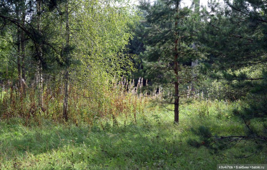 Иманины сказки. Волшебный луч