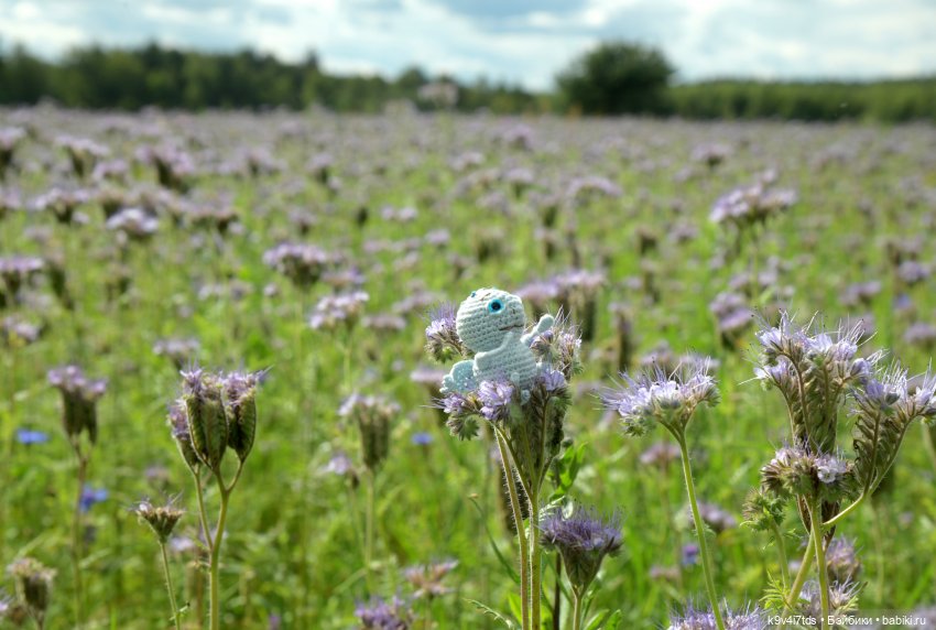 Иманины сказки. Волшебный луч