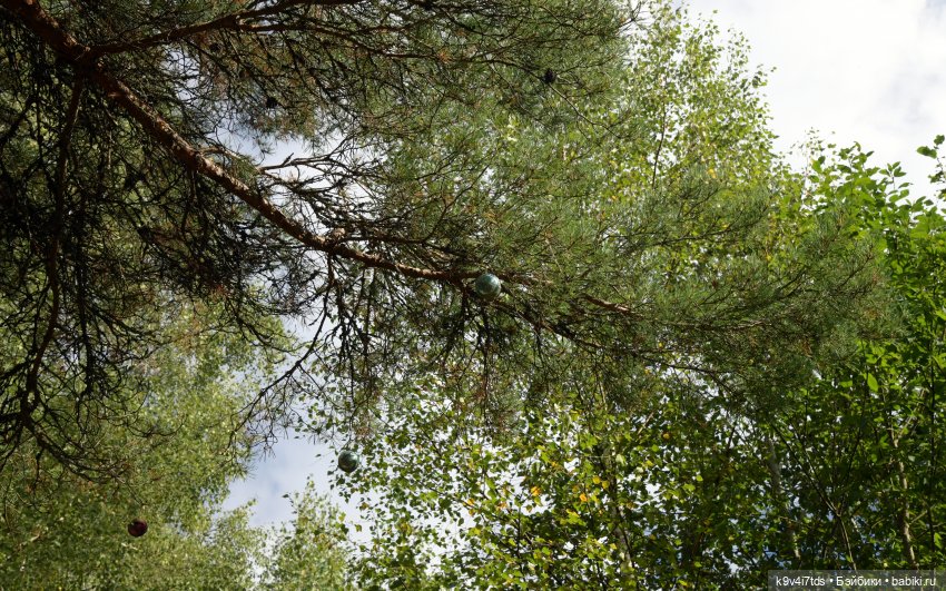 Иманины сказки. Волшебный луч