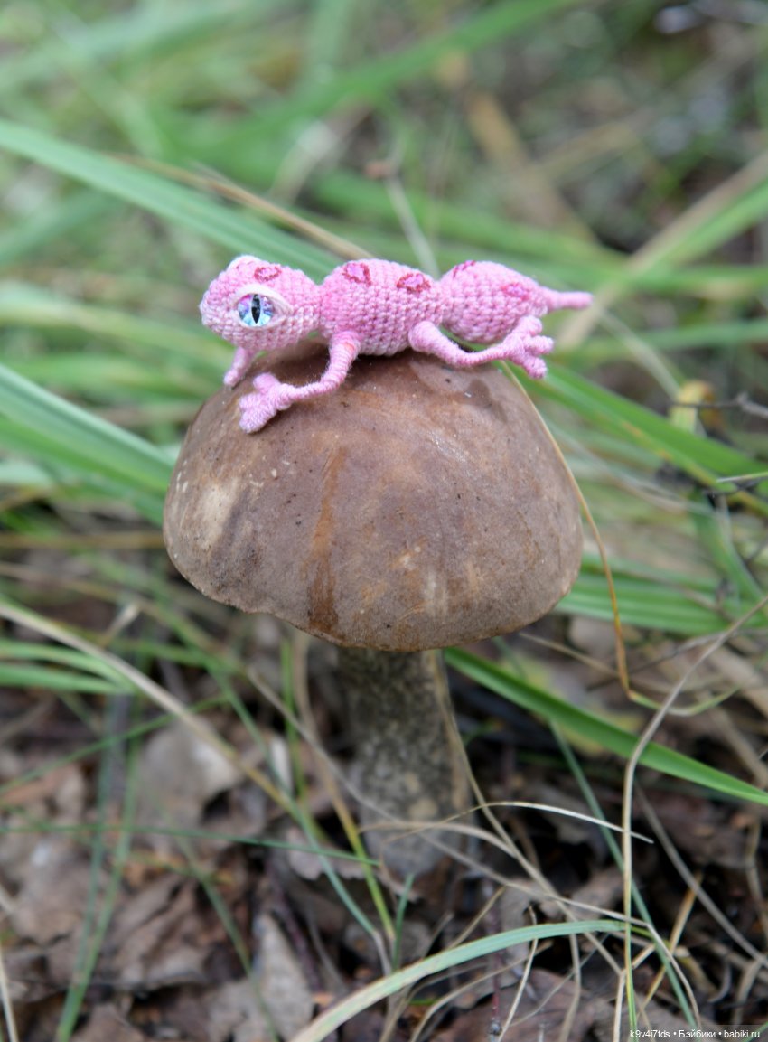 Иманины сказки. Волшебный луч