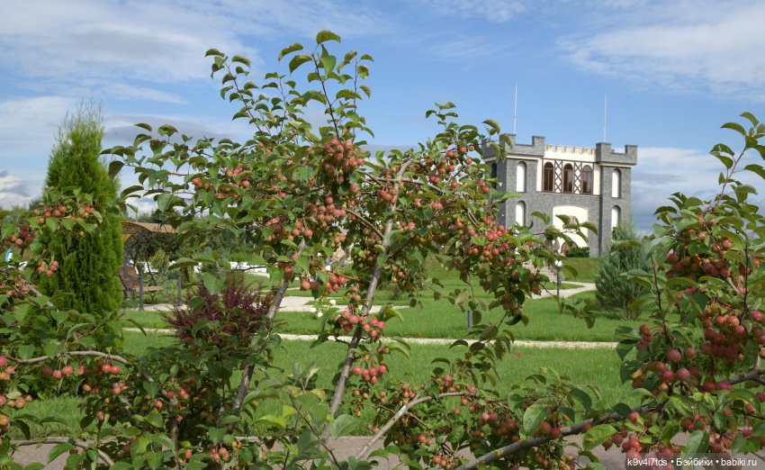 Иманины сказки. Путешествие в Мармеладное Царство (фото 3)