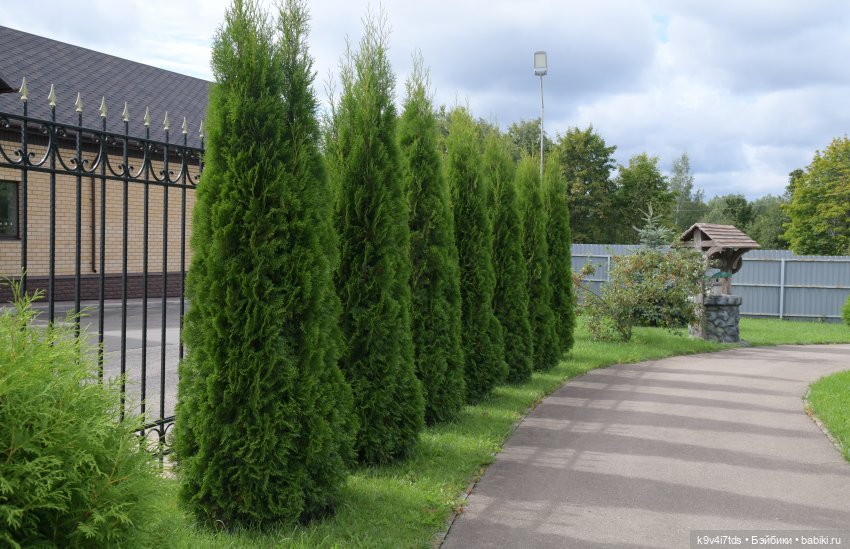 Иманины сказки. Путешествие в Мармеладное Царство