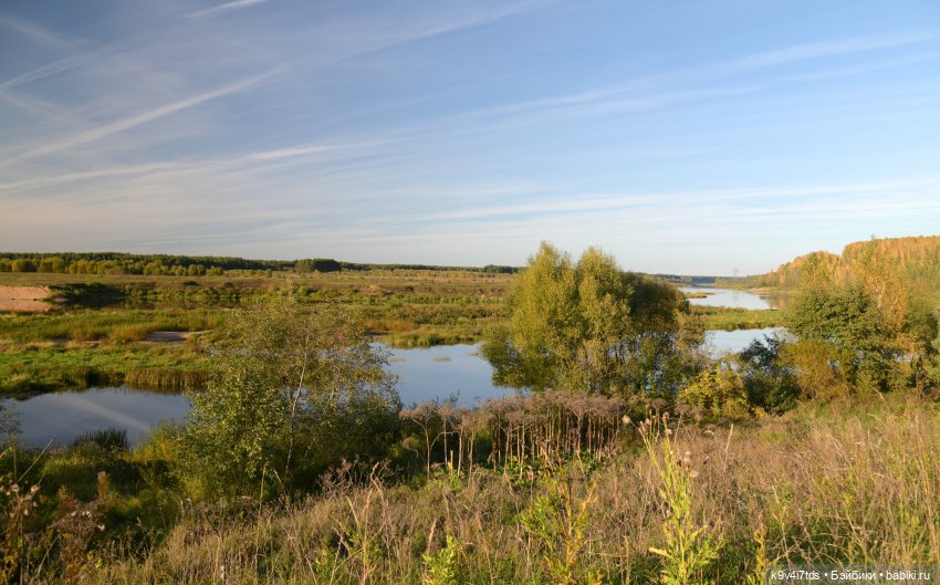 Симона и Золотая Осень — Антикварные куклы Simon & Halbig (S&H): Симон Хальбиг