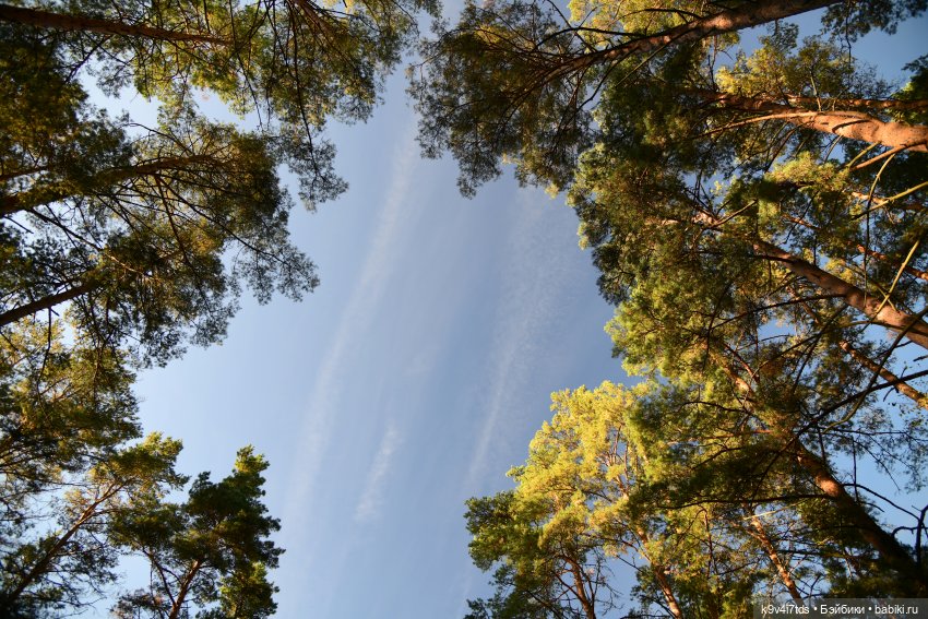 Симона и Золотая Осень — Антикварные куклы Simon & Halbig (S&H): Симон Хальбиг