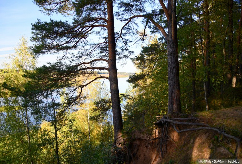 Симона и Золотая Осень — Антикварные куклы Simon & Halbig (S&H): Симон Хальбиг