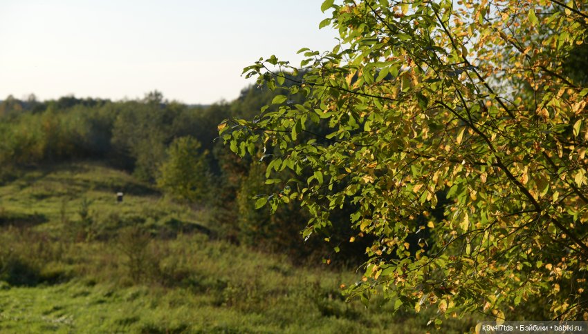 Симона и Золотая Осень — Антикварные куклы Simon & Halbig (S&H): Симон Хальбиг
