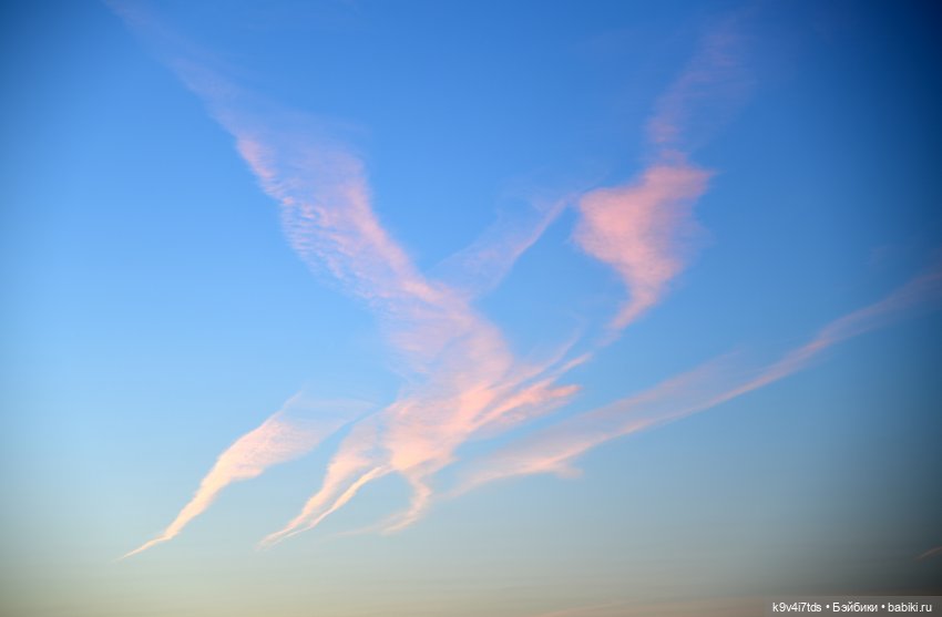 Симона и Золотая Осень — Антикварные куклы Simon & Halbig (S&H): Симон Хальбиг