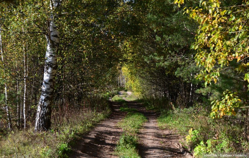 Симона и Золотая Осень — Антикварные куклы Simon & Halbig (S&H): Симон Хальбиг