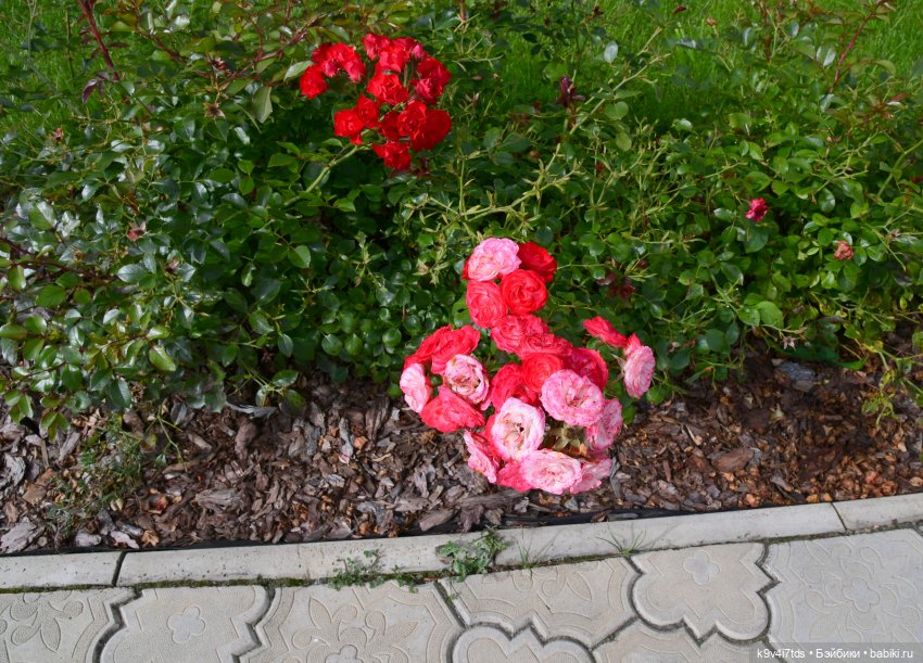 Иманины сказки, путешествие в Мармеладное Царство, продолжение