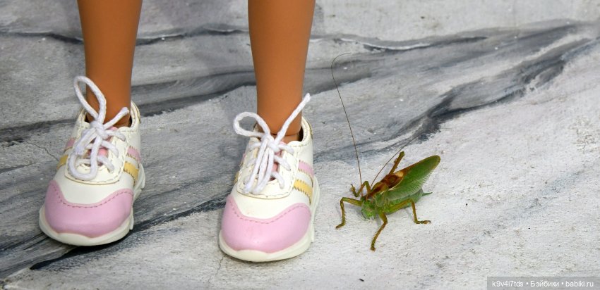 Иманины сказки, путешествие в Мармеладное Царство, заключительная часть (фото 6)