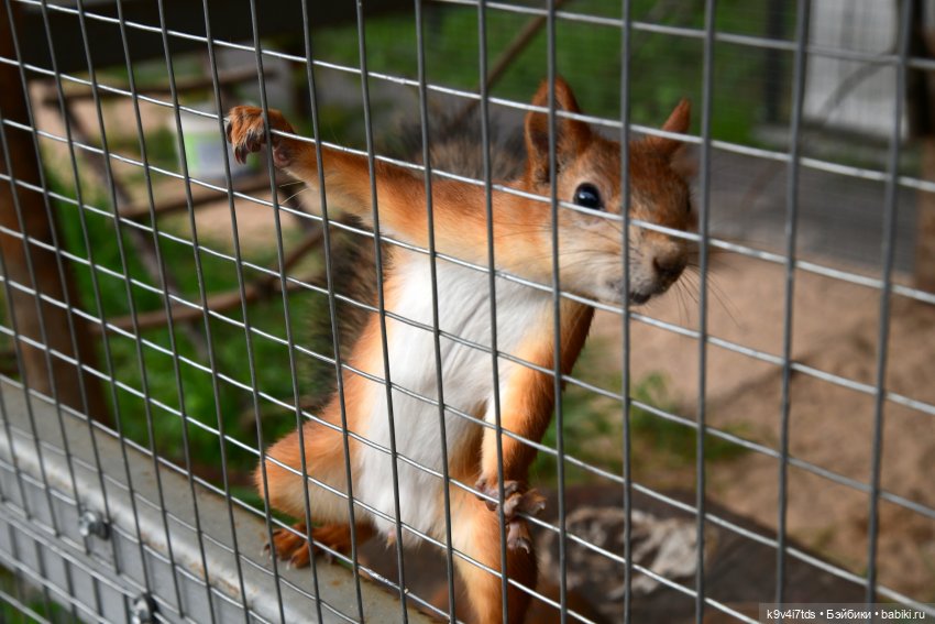Иманины сказки, путешествие в Мармеладное Царство, заключительная часть