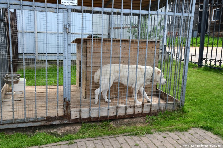 Иманины сказки, путешествие в Мармеладное Царство, заключительная часть