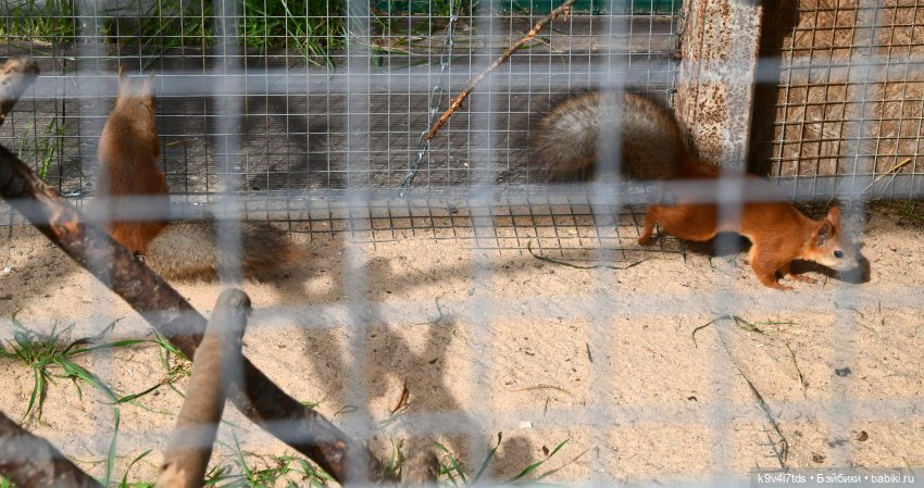 Иманины сказки, путешествие в Мармеладное Царство, заключительная часть