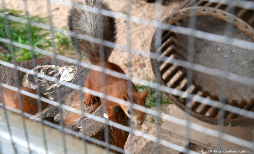 Иманины сказки, путешествие в Мармеладное Царство, заключительная часть
