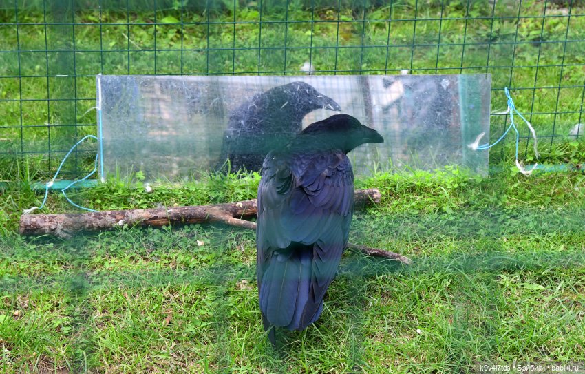 Иманины сказки, путешествие в Мармеладное Царство, заключительная часть