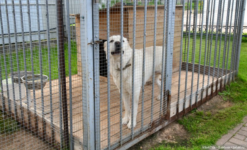 Иманины сказки, путешествие в Мармеладное Царство, заключительная часть
