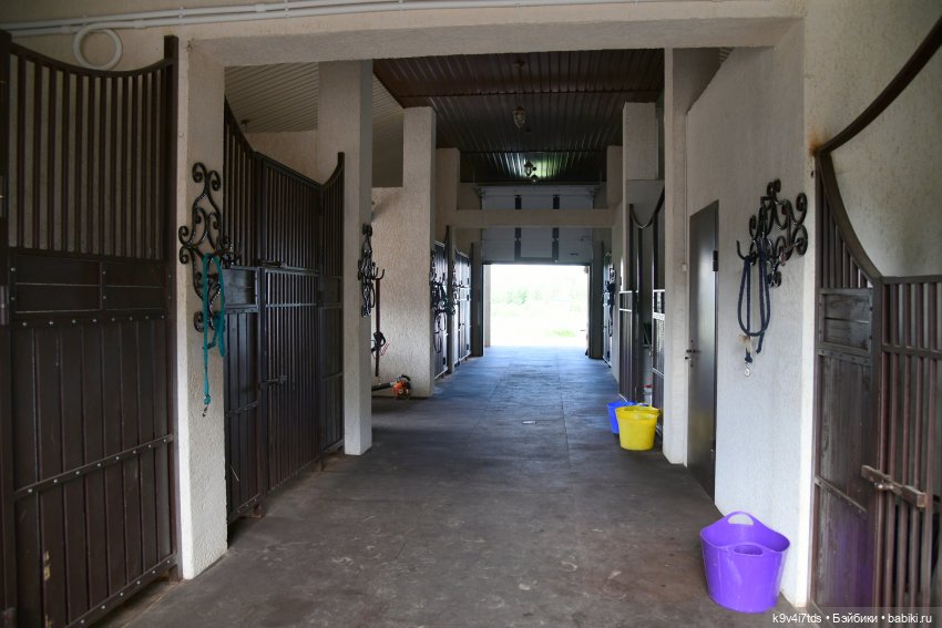 Иманины сказки, путешествие в Мармеладное Царство, заключительная часть