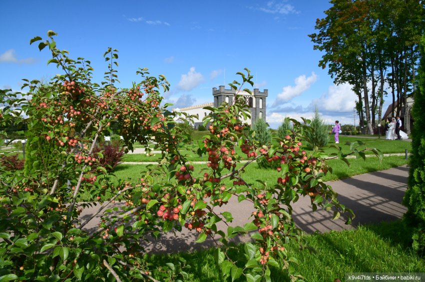 Иманины сказки, путешествие в Мармеладное Царство, заключительная часть