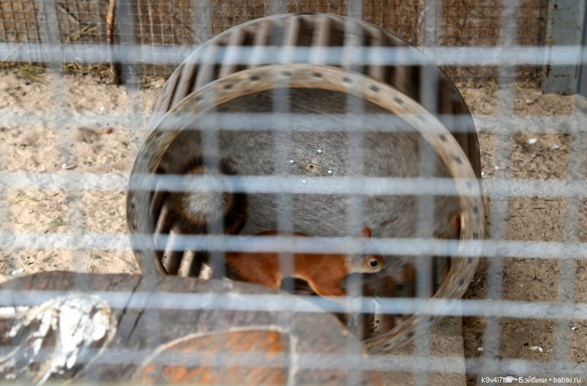 Иманины сказки, путешествие в Мармеладное Царство, заключительная часть