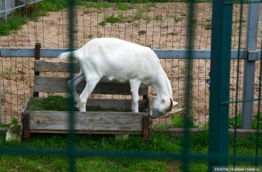 Иманины сказки, путешествие в Мармеладное Царство, заключительная часть