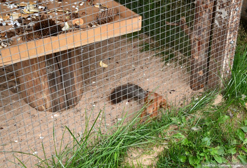 Иманины сказки, путешествие в Мармеладное Царство, заключительная часть
