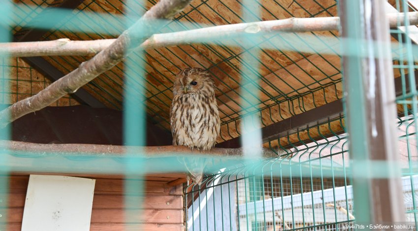 Иманины сказки, путешествие в Мармеладное Царство, заключительная часть