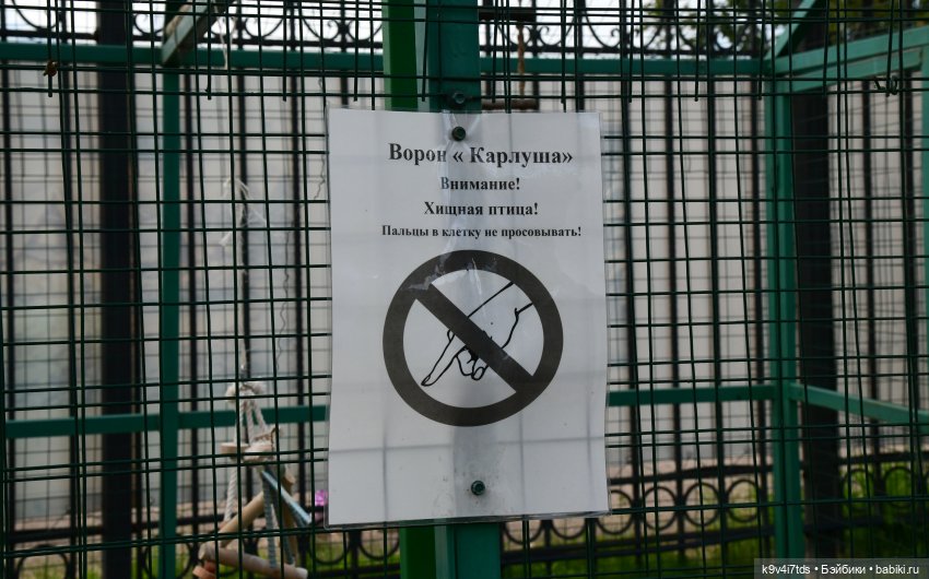 Иманины сказки, путешествие в Мармеладное Царство, заключительная часть