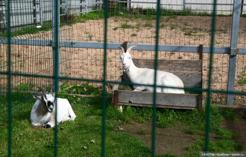 Иманины сказки, путешествие в Мармеладное Царство, заключительная часть
