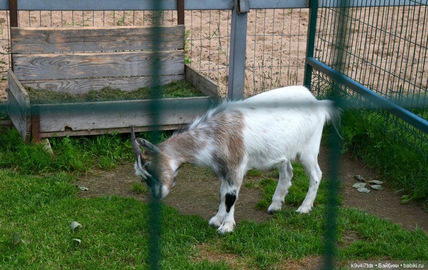 Иманины сказки, путешествие в Мармеладное Царство, заключительная часть