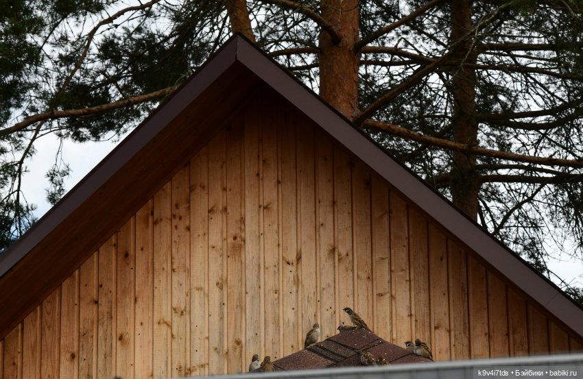 Иманины сказки, путешествие в Мармеладное Царство, заключительная часть