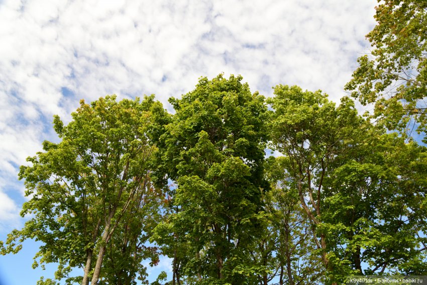 Иманины сказки, путешествие в Мармеладное Царство, заключительная часть