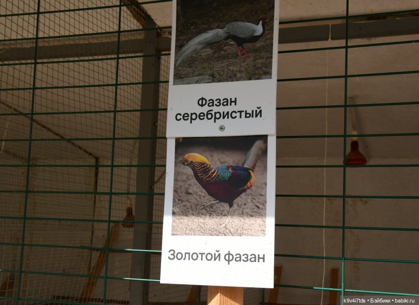 Иманины сказки, путешествие в Мармеладное Царство, заключительная часть