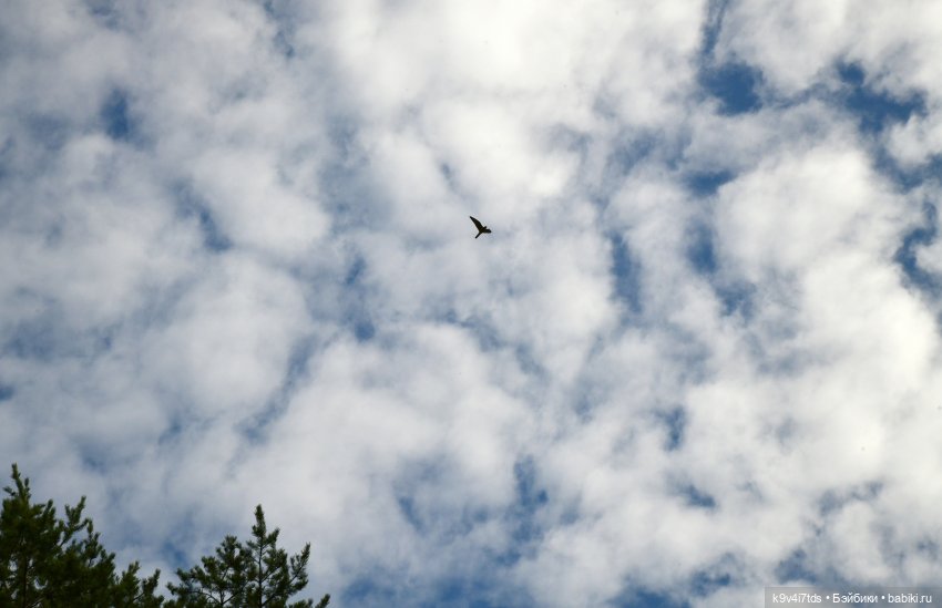 Иманины сказки, путешествие в Мармеладное Царство, заключительная часть