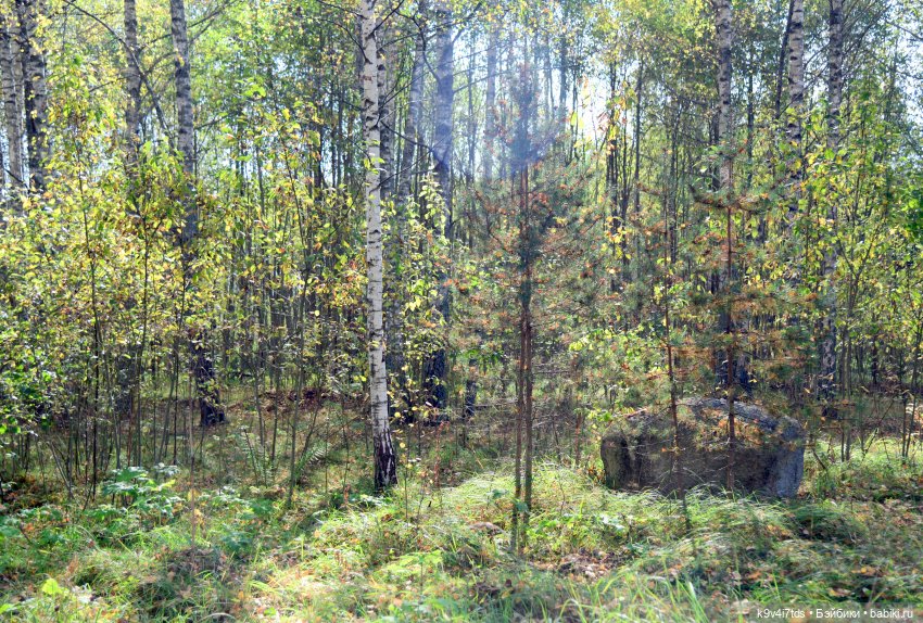 Тамми и Алистер в "Саду камней"