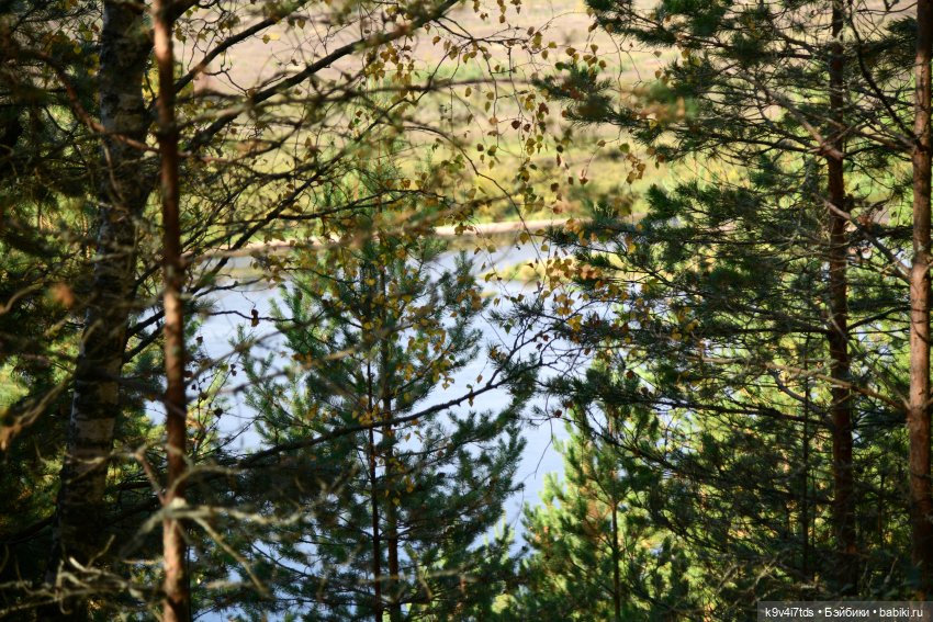 Тамми и Алистер в "Саду камней"