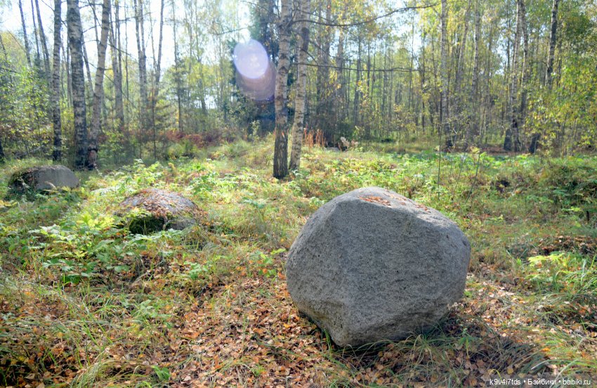 Тамми и Алистер в "Саду камней" (фото 5)