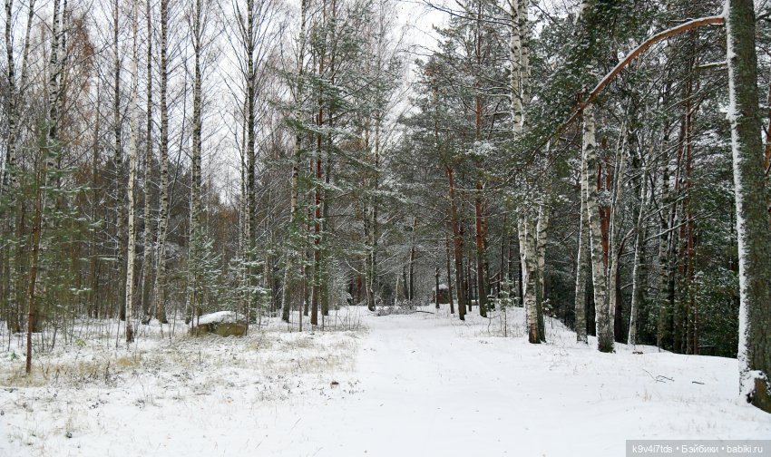 Репетиция зимы — Оригинальные куклы Blythe (Блайз): Takara