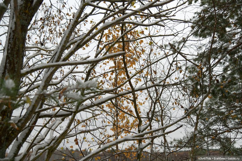 Репетиция зимы — Оригинальные куклы Blythe (Блайз): Takara