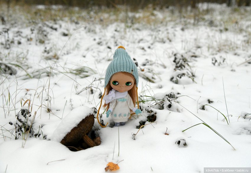 Репетиция зимы — Оригинальные куклы Blythe (Блайз): Takara