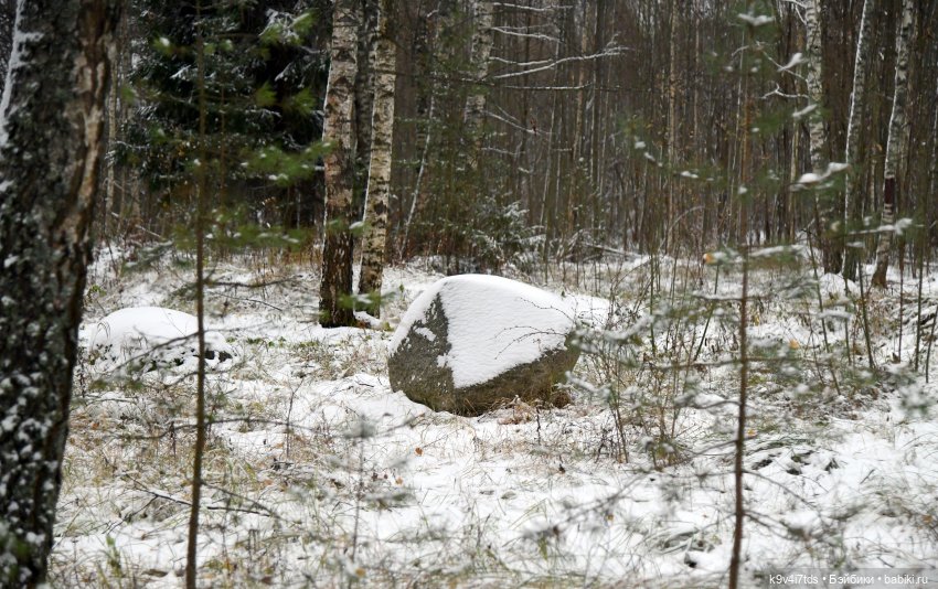 Репетиция зимы — Оригинальные куклы Blythe (Блайз): Takara