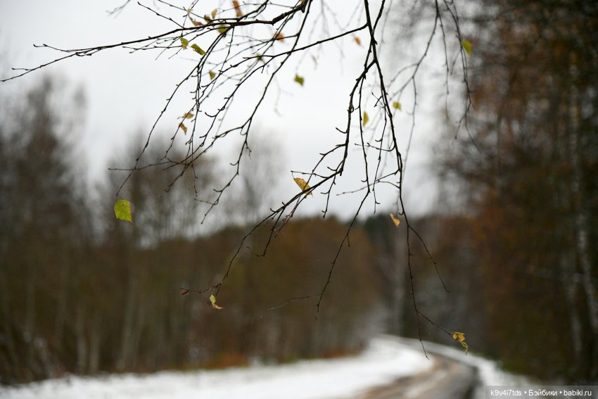 Репетиция зимы — Оригинальные куклы Blythe (Блайз): Takara